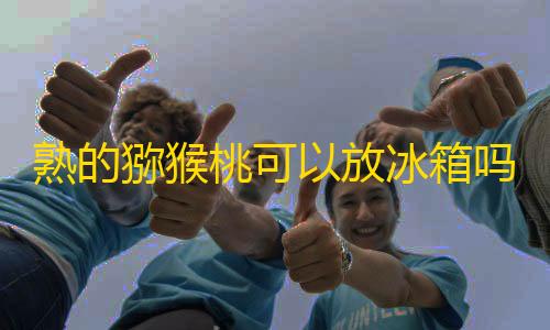 CF手游透视自瞄挂熟的猕猴桃可以放冰箱吗